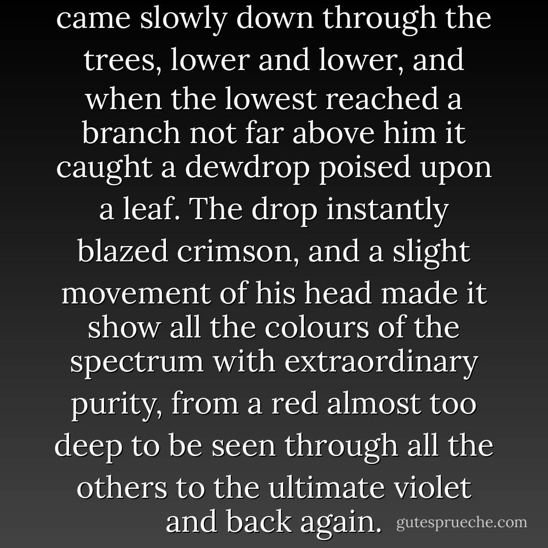 He sat on as the sun's rays came slowly down through the trees, lower and lower, and when the lowest reached a branch not far above him it caught a dewdrop poised upon a leaf. The drop instantly blazed crimson, and a slight movement of his head made it show all the colours of the spectrum with extraordinary purity, from a red almost too deep to be seen through all the others to the ultimate violet and back again. - Patrick O'Brian
