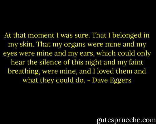 At that moment I was sure. That I belonged in my skin. That my organs were mine and my eyes were mine and my ears, which could only hear the silence of this night and my faint breathing, were mine, and I loved them and what they could do. - Dave Eggers