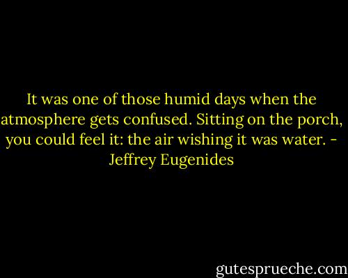 It was one of those humid days when the atmosphere gets confused. Sitting on the porch, you could feel it: the air wishing it was water. - Jeffrey Eugenides