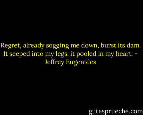 Regret, already sogging me down, burst its dam. It seeped into my legs, it pooled in my heart. - Jeffrey Eugenides