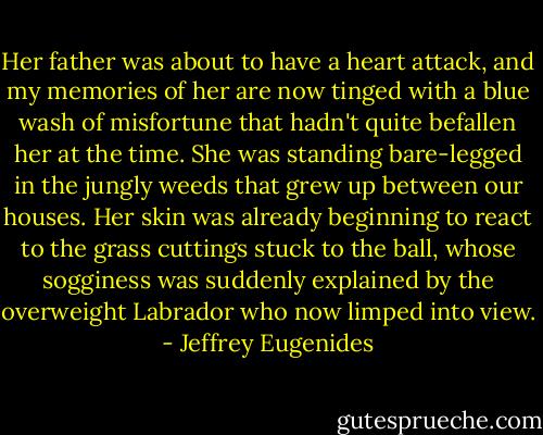 Her father was about to have a heart attack, and my memories of her are now tinged with a blue wash of misfortune that hadn't quite befallen her at the time. She was standing bare-legged in the jungly weeds that grew up between our houses. Her skin was already beginning to react to the grass cuttings stuck to the ball, whose sogginess was suddenly explained by the overweight Labrador who now limped into view. - Jeffrey Eugenides