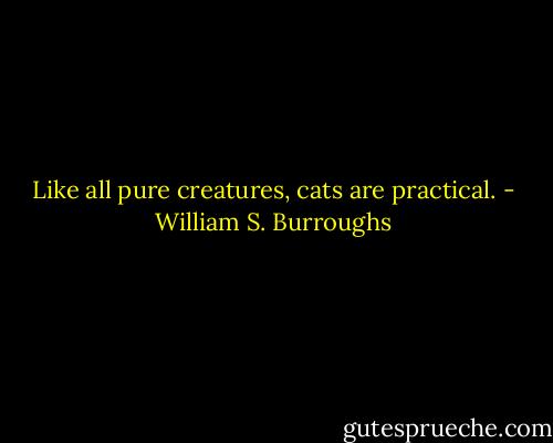 Like all pure creatures, cats are practical. - William S. Burroughs
