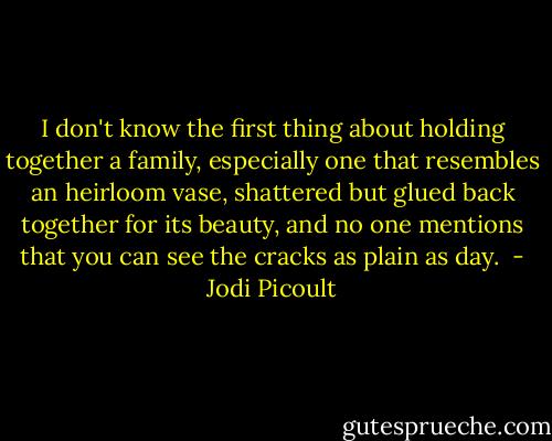 I don't know the first thing about holding together a family, especially one that resembles an heirloom vase, shattered but glued back together for its beauty, and no one mentions that you can see the cracks as plain as day.  - Jodi Picoult