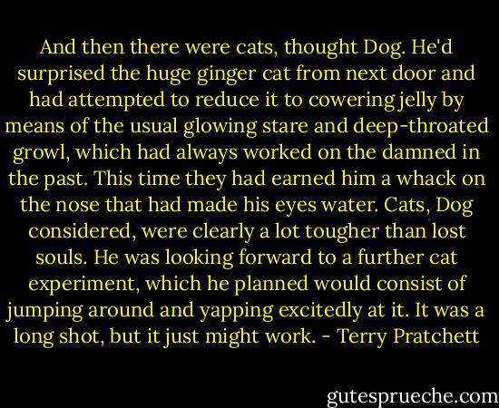 And then there were cats, thought Dog. He'd surprised the huge ginger cat from next door and had attempted to reduce it to cowering jelly by means of the usual glowing stare and deep-throated growl, which had always worked on the damned in the past. This time they had earned him a whack on the nose that had made his eyes water. Cats, Dog considered, were clearly a lot tougher than lost souls. He was looking forward to a further cat experiment, which he planned would consist of jumping around and yapping excitedly at it. It was a long shot, but it just might work. - Terry Pratchett