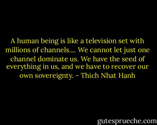 A human being is like a television set with millions of channels.... We cannot let just one channel dominate us. We have the seed of everything in us, and we have to recover our own sovereignty. - Thich Nhat Hanh