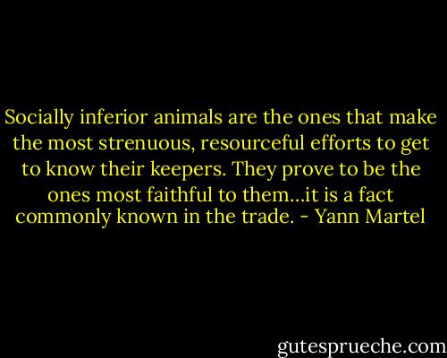 Socially inferior animals are the ones that make the most strenuous, resourceful efforts to get to know their keepers. They prove to be the ones most faithful to them…it is a fact commonly known in the trade. - Yann Martel