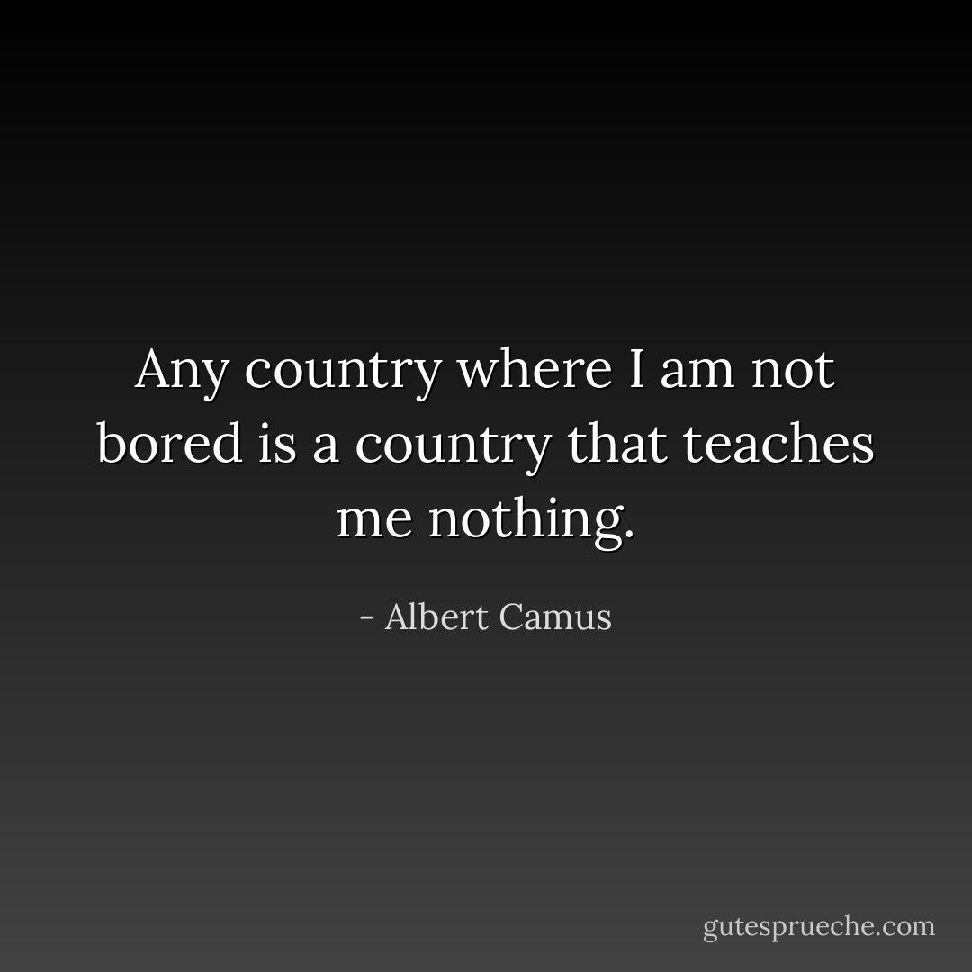 Any country where I am not bored is a country that teaches me nothing. - Albert Camus