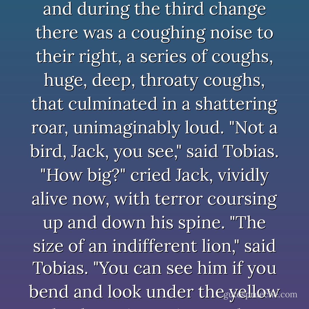 A puma is not a bird," said Tobias, after a hundred paces. "It is a kind of cat - felis concolor. You may see it soon: it is moving along with us, on the right."<br />The word <i>cat</i> brought nothing into Jack's mind but a fleeting image of a shabby, brownish-black little creature called Tib that disgraced the drawing-room at home, and he plodded on in silence. Every hundred yards or so they changed shoulders, and during the third change there was a coughing noise to their right, a series of coughs, huge, deep, throaty coughs, that culminated in a shattering roar, unimaginably loud.<br />"Not a bird, Jack, you see," said Tobias.<br />"How big?" cried Jack, vividly alive now, with terror coursing up and down his spine.<br />"The size of an indifferent lion," said Tobias. "You can see him if you bend and look under the yellow bush. He is tearing up the earth, and biting it."<br />"Can he climb?"<br />"Oh, admirably."<br />"Toby, what shall we do?"<br />"Why, unless you wish to go and look at him, we had better go on. It is getting late. But do not hurry so, Jack, nor make jerking movements. If he should come out, take no notice of him, or look at him kindly - do not provoke him. He is not a froward puma, I believe. - Patrick O'Brian