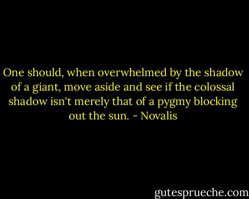 One should, when overwhelmed by the shadow of a giant, move aside and see if the colossal shadow isn't merely that of a pygmy blocking out the sun. - Novalis