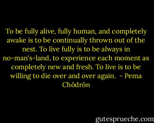 To be fully alive, fully human, and completely awake is to be continually thrown out of the nest. To live fully is to be always in no-man's-land, to experience each moment as completely new and fresh. To live is to be willing to die over and over again.  - Pema Chödrön