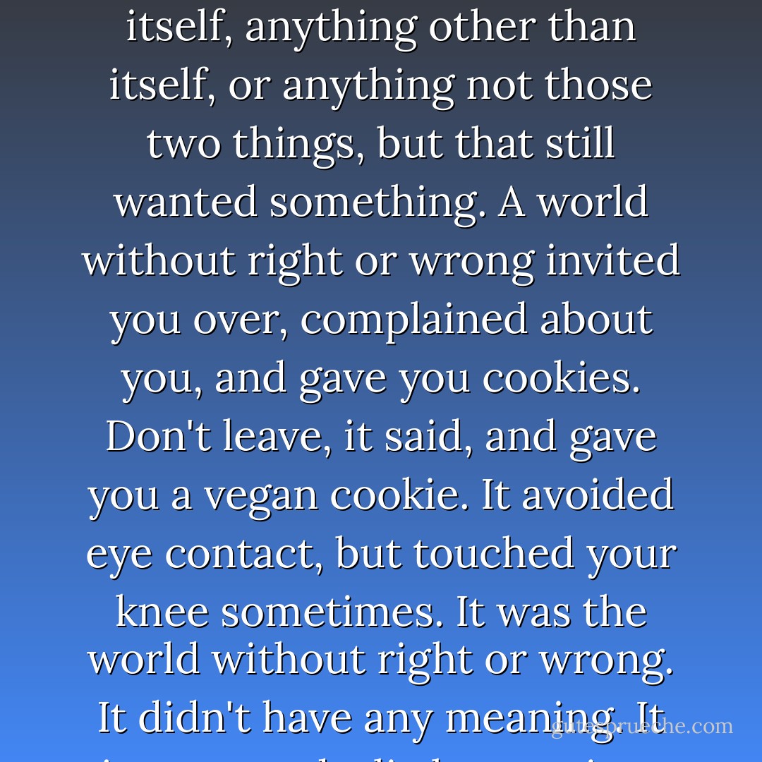 A world without right or wrong was a world that did not want itself, anything other than itself, or anything not those two things, but that still wanted something. A world without right or wrong invited you over, complained about you, and gave you cookies. Don't leave, it said, and gave you a vegan cookie. It avoided eye contact, but touched your knee sometimes. It was the world without right or wrong. It didn't have any meaning. It just wanted a little meaning. - Tao Lin