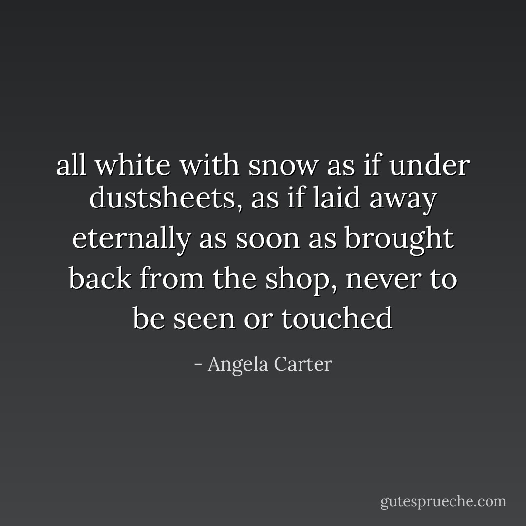 all white with snow as if under dustsheets, as if laid away eternally as soon as brought back from the shop, never to be seen or touched - Angela Carter