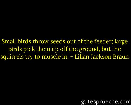 Small birds throw seeds out of the feeder; large birds pick them up off the ground, but the squirrels try to muscle in. - Lilian Jackson Braun