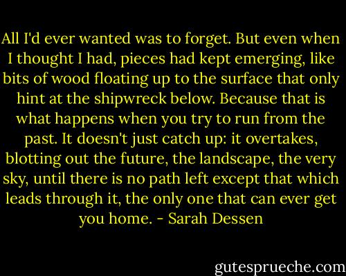 All I'd ever wanted was to forget. But even when I thought I had, pieces had kept emerging, like bits of wood floating up to the surface that only hint at the shipwreck below. Because that is what happens when you try to run from the past. It doesn't just catch up: it overtakes, blotting out the future, the landscape, the very sky, until there is no path left except that which leads through it, the only one that can ever get you home. - Sarah Dessen