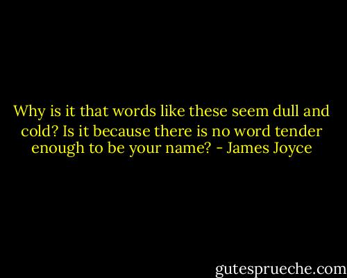 Why is it that words like these seem dull and cold? Is it because there is no word tender enough to be your name? - James Joyce
