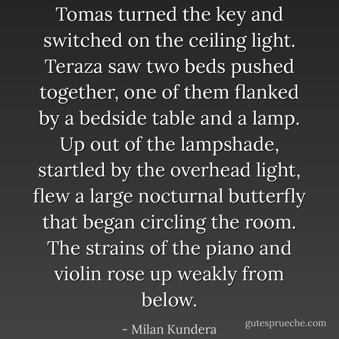 Tomas turned the key and switched on the ceiling light. Teraza saw two beds pushed together, one of them flanked by a bedside table and a lamp. Up out of the lampshade, startled by the overhead light, flew a large nocturnal butterfly that began circling the room. The strains of the piano and violin rose up weakly from below. - Milan Kundera