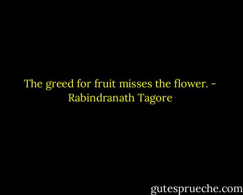 The greed for fruit misses the flower. - Rabindranath Tagore