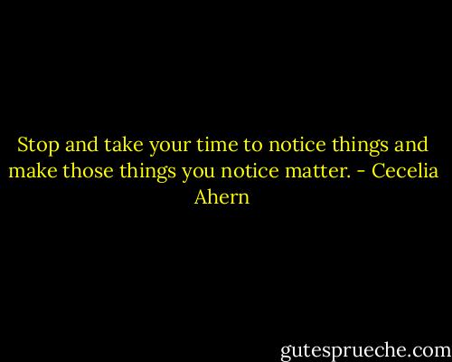 Stop and take your time to notice things and make those things you notice matter. - Cecelia Ahern