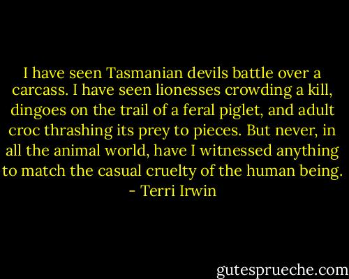 I have seen Tasmanian devils battle over a carcass. I have seen lionesses crowding a kill, dingoes on the trail of a feral piglet, and adult croc thrashing its prey to pieces. But never, in all the animal world, have I witnessed anything to match the casual cruelty of the human being. - Terri Irwin
