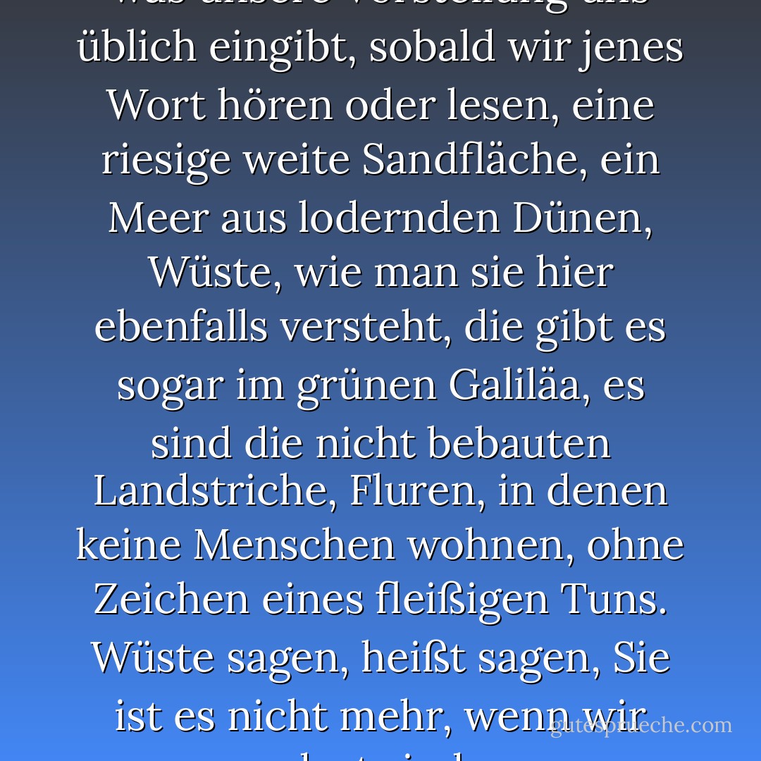 Wüste ist nicht lediglich das, was unsere Vorstellung uns üblich eingibt, sobald wir jenes Wort hören oder lesen, eine riesige weite Sandfläche, ein Meer aus lodernden Dünen, Wüste, wie man sie hier ebenfalls versteht, die gibt es sogar im grünen Galiläa, es sind die nicht bebauten Landstriche, Fluren, in denen keine Menschen wohnen, ohne Zeichen eines fleißigen Tuns. Wüste sagen, heißt sagen, Sie ist es nicht mehr, wenn wir dort sind. - José Saramago