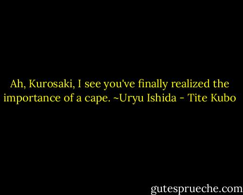 Ah, Kurosaki, I see you've finally realized the importance of a cape.<br />~Uryu Ishida - Tite Kubo