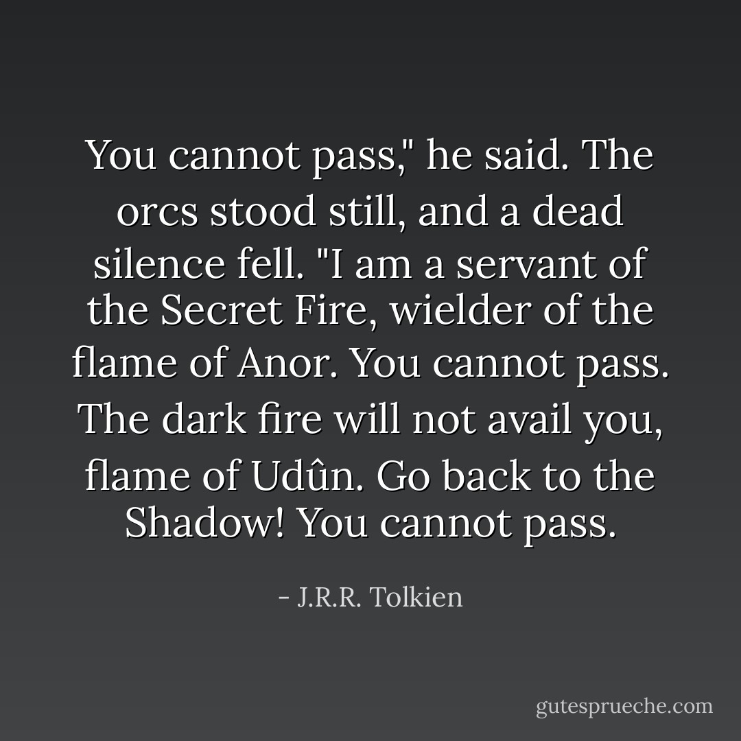 You cannot pass," he said. The orcs stood still, and a dead silence fell. "I am a servant of the Secret Fire, wielder of the flame of Anor. You cannot pass. The dark fire will not avail you, flame of Udûn. Go back to the Shadow! You cannot pass. - J.R.R. Tolkien