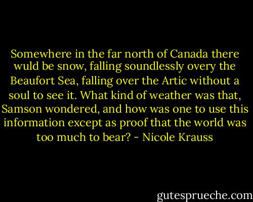 Somewhere in the far north of Canada there wuld be snow, falling soundlessly overy the Beaufort Sea, falling over the Artic without a soul to see it. What kind of weather was that, Samson wondered, and how was one to use this information except as proof that the world was too much to bear? - Nicole Krauss