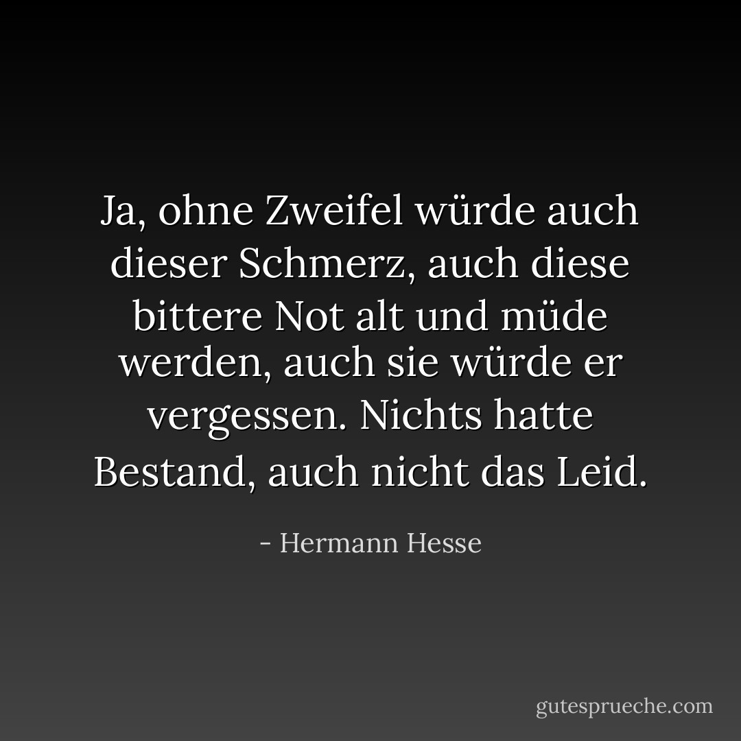 Ja, ohne Zweifel würde auch dieser Schmerz, auch diese bittere Not alt und müde werden, auch sie würde er vergessen. Nichts hatte Bestand, auch nicht das Leid. - Hermann Hesse