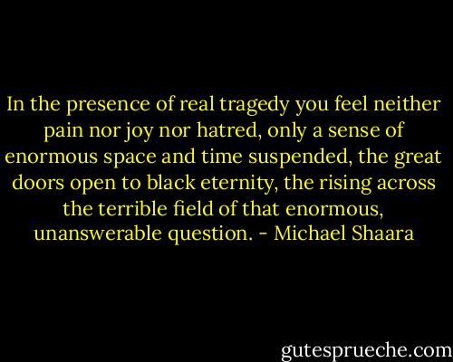 In the presence of real tragedy you feel neither pain nor joy nor hatred, only a sense of enormous space and time suspended, the great doors open to black eternity, the rising across the terrible field of that enormous, unanswerable question. - Michael Shaara