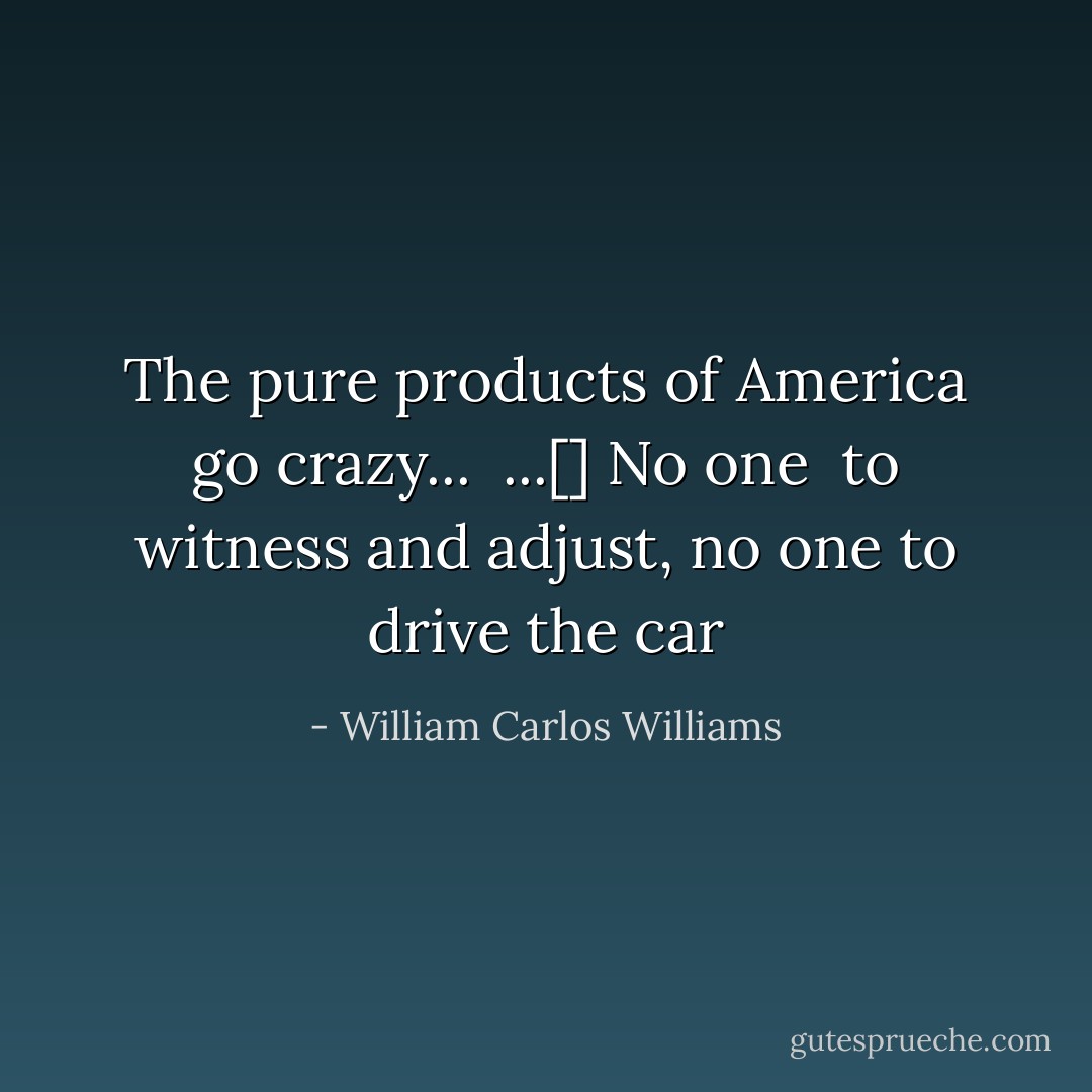 The pure products of America<br />go crazy...<br /><br />...[] No one <br />to witness<br />and adjust, no one to drive the car - William Carlos Williams
