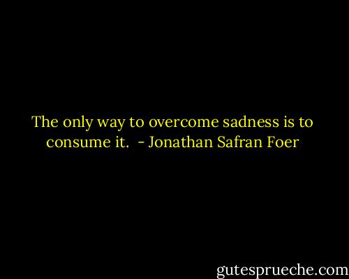 The only way to overcome sadness is to consume it.  - Jonathan Safran Foer