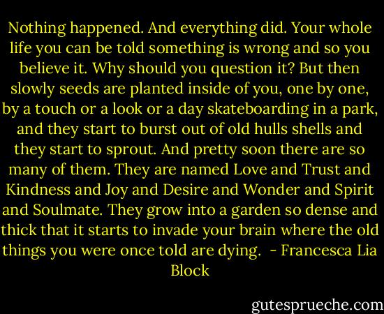 Nothing happened. And everything did. Your whole life you can be told something is wrong and so you believe it. Why should you question it? But then slowly seeds are planted inside of you, one by one, by a touch or a look or a day skateboarding in a park, and they start to burst out of old hulls shells and they start to sprout. And pretty soon there are so many of them. They are named Love and Trust and Kindness and Joy and Desire and Wonder and Spirit and Soulmate. They grow into a garden so dense and thick that it starts to invade your brain where the old things you were once told are dying.  - Francesca Lia Block