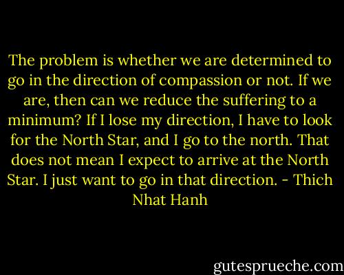 The problem is whether we are determined to go in the direction of compassion or not. If we are, then can we reduce the suffering to a minimum? If I lose my direction, I have to look for the North Star, and I go to the north. That does not mean I expect to arrive at the North Star. I just want to go in that direction. - Thich Nhat Hanh