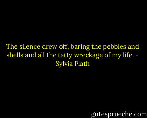 The silence drew off, baring the pebbles and shells and all the tatty wreckage of my life. - Sylvia Plath