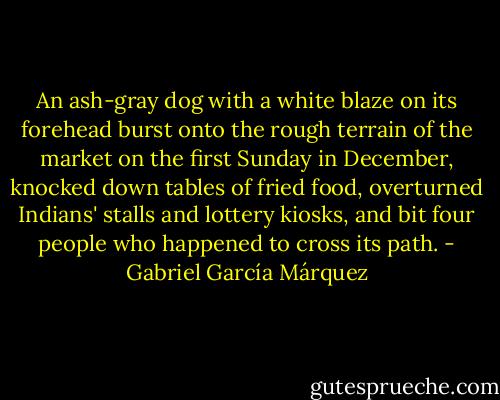 An ash-gray dog with a white blaze on its forehead burst onto the rough terrain of the market on the first Sunday in December, knocked down tables of fried food, overturned Indians' stalls and lottery kiosks, and bit four people who happened to cross its path. - Gabriel García Márquez