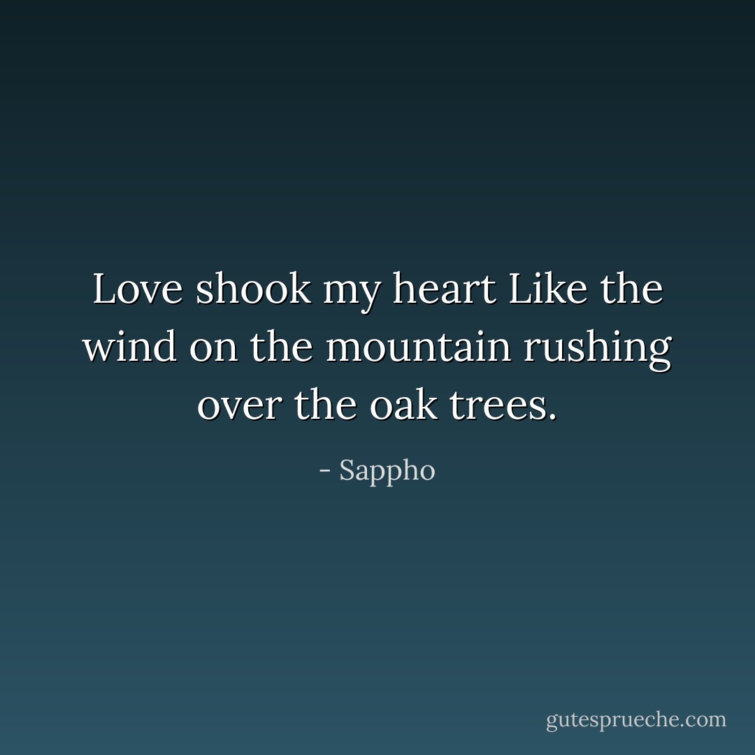 Love shook my heart<br />Like the wind on the mountain<br />rushing over the oak trees. - Sappho