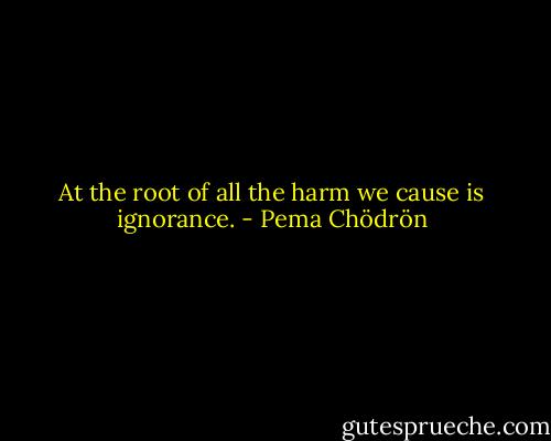 At the root of all the harm we cause is ignorance. - Pema Chödrön