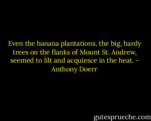 Even the banana plantations, the big, hardy trees on the flanks of Mount St. Andrew, seemed to lilt and acquiesce in the heat. - Anthony Doerr