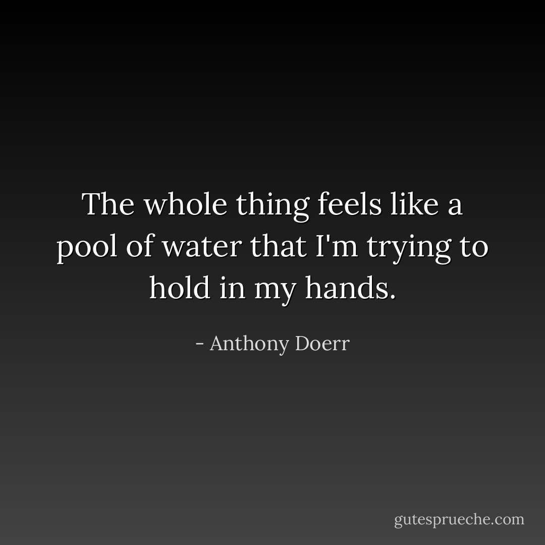 The whole thing feels like a pool of water that I'm trying to hold in my hands. - Anthony Doerr