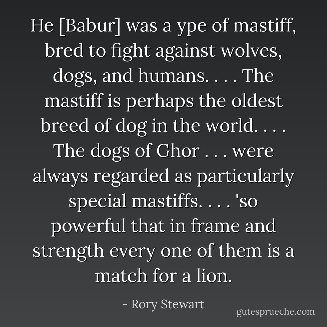 He [Babur] was a ype of mastiff, bred to fight against wolves, dogs, and humans. . . . The mastiff is perhaps the oldest breed of dog in the world. . . . The dogs of Ghor . . . were always regarded as particularly special mastiffs. . . . 'so powerful that in frame and strength every one of them is a match for a lion. - Rory Stewart