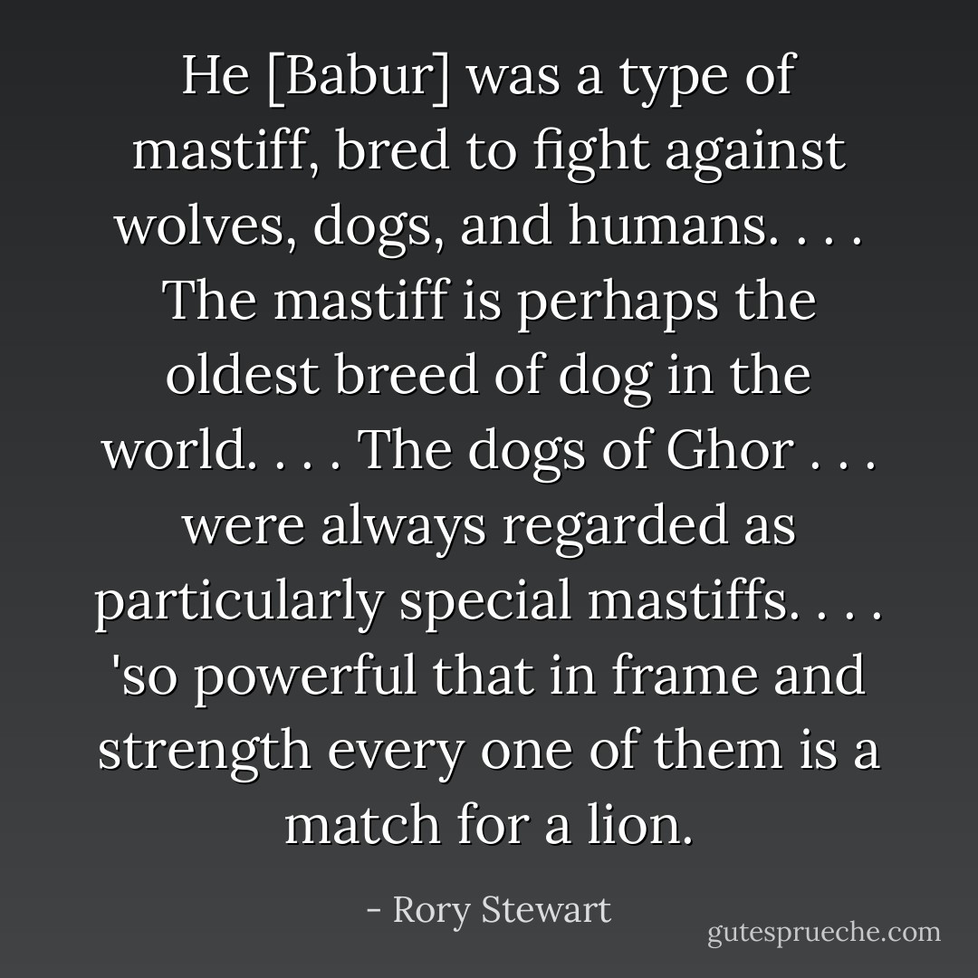 He [Babur] was a type of mastiff, bred to fight against wolves, dogs, and humans. . . . The mastiff is perhaps the oldest breed of dog in the world. . . . The dogs of Ghor . . . were always regarded as particularly special mastiffs. . . . 'so powerful that in frame and strength every one of them is a match for a lion. - Rory Stewart