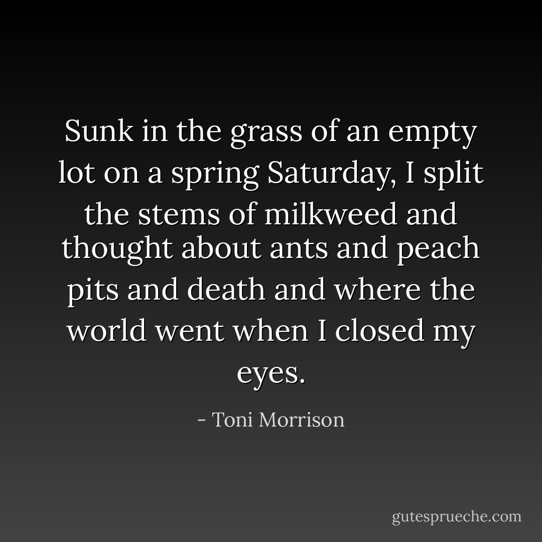 Sunk in the grass of an empty lot on a spring Saturday, I split the stems of milkweed and thought about ants and peach pits and death and where the world went when I closed my eyes. - Toni Morrison