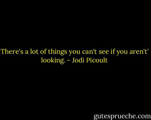There's a lot of things you can't see if you aren't' looking. - Jodi Picoult