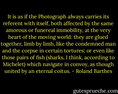 It is as if the Photograph always carries its referent with itself, both affected by the same amorous or funereal immobility, at the very heart of the moving world: they are glued together, limb by limb, like the condemned man and the corpse in certain tortures; or even like those pairs of fish (sharks, I think, according to Michelet) which navigate in convoy, as though united by an eternal coitus. - Roland Barthes