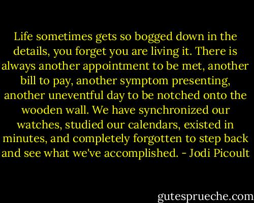 Life sometimes gets so bogged down in the details, you forget you are living it. There is always another appointment to be met, another bill to pay, another symptom presenting, another uneventful day to be notched onto the wooden wall. We have synchronized our watches, studied our calendars, existed in minutes, and completely forgotten to step back and see what we've accomplished. - Jodi Picoult