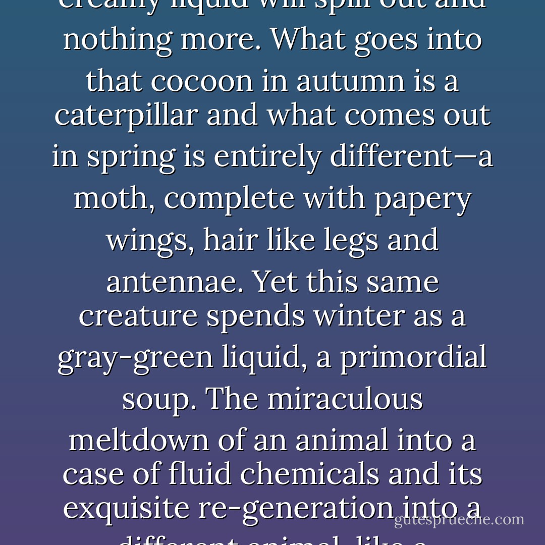 Clive convinced himself that it wouldn’t be long before we’d be able to predict all their [the moths] equations of cause and effect, then perhaps even map out each and every cell, and configure them in their entirety as robots, in terms of molecules, chemicals and electrical signals. And what fed this particular obsession was Pupal Soup. <br /><br />If you cut through a cocoon in mid-winter, a thick creamy liquid will spill out and nothing more. What goes into that cocoon in autumn is a caterpillar and what comes out in spring is entirely different—a moth, complete with papery wings, hair like legs and antennae. Yet this same creature spends winter as a gray-green liquid, a primordial soup. The miraculous meltdown of an animal into a case of fluid chemicals and its exquisite re-generation into a different animal, like a stupendous jigsaw, was a feat that, far from putting off, fed Clive’s obsession. He believed it made his lifetime ambition easier because, however complex it might be, it was, after all, only a jigsaw, and to Clive, that meant it was possible. For all the chemicals required to make a moth were right there in front of his eyes, in the pupal soup. - Poppy Adams