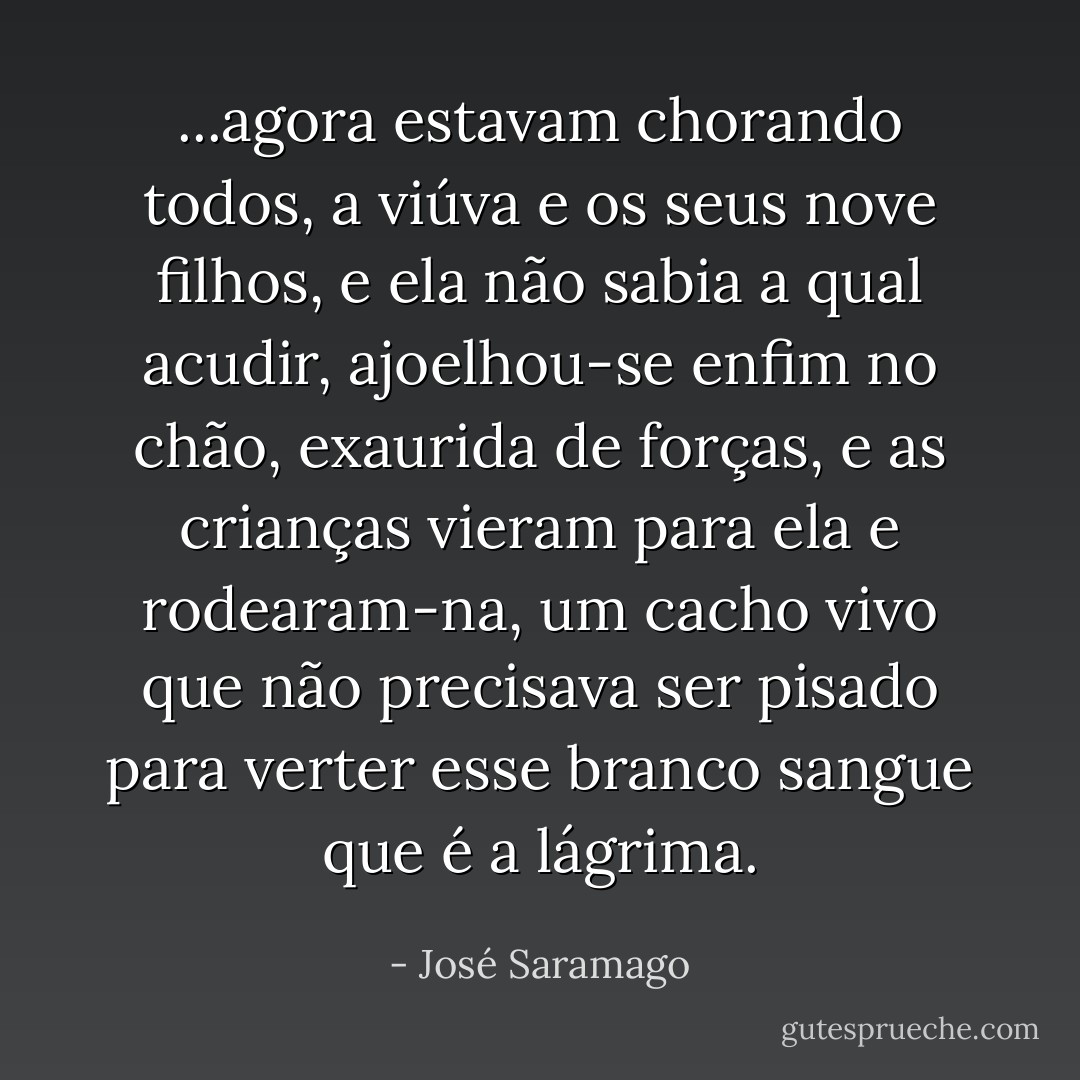 ...agora estavam chorando todos, a viúva e os seus nove filhos, e ela não sabia a qual acudir, ajoelhou-se enfim no chão, exaurida de forças, e as crianças vieram para ela e rodearam-na, um cacho vivo que não precisava ser pisado para verter esse branco sangue que é a lágrima. - José Saramago