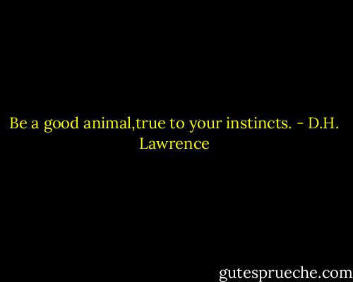 Be a good animal,true to your instincts. - D.H. Lawrence