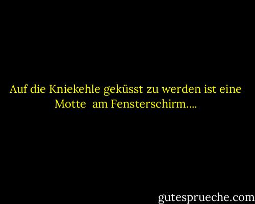 Auf die Kniekehle geküsst zu werden ist eine Motte <br />am Fensterschirm.... - Anne Sexton<