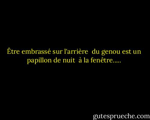 Être embrassé sur l'arrière <br />du genou est un papillon de nuit <br />à la fenêtre..... - Anne Sexton